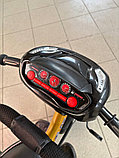 Детский велосипед трехколесный Trike Pilot PTA2GB (чёрно-золотой), фото 2