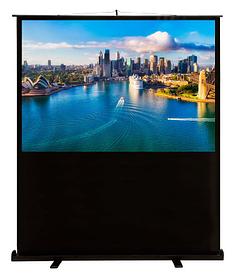 Экран Cactus FloorCompactExpert CS-PSFLCE-160X120, 160х120 см, 4:3, напольный