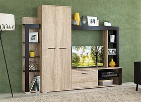 Гостиная Торонто Империал (дуб сонома/дуб венге)