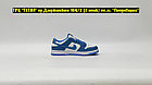 Кроссовки Nike Dunk Low Coast Blue White, фото 5