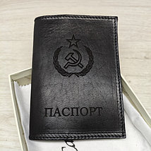 1000095246.jpg