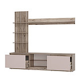 Гостиная РИО ГС-05 (Дуб Смоки/ Кашемир) BTS, фото 2