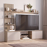 Гостиная РИО ГС-05 (Дуб Смоки/ Кашемир) BTS, фото 3