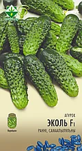 Семена Огурец Эколь F1 (10 шт) Эксперт МССО