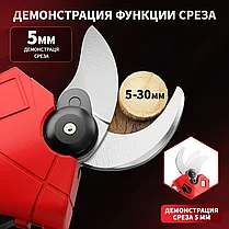 Секатор аккумуляторный бесщеточный Stohf (диаметр ветвей 30 мм, 2 АКБ 2 Ач, кейс), фото 3