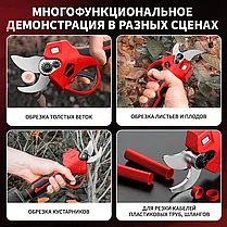 Секатор аккумуляторный бесщеточный Stohf (диаметр ветвей 30 мм, 2 АКБ 2 Ач, кейс), фото 3