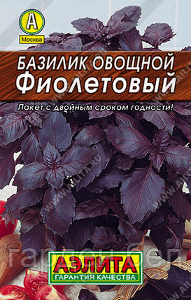 Базилик овощной Фиолетовый 0.2г Лидер Аэлита, фото 2
