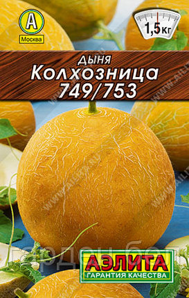 Дыня Колхозница 749/753 15шт Лидер Аэлита, фото 2