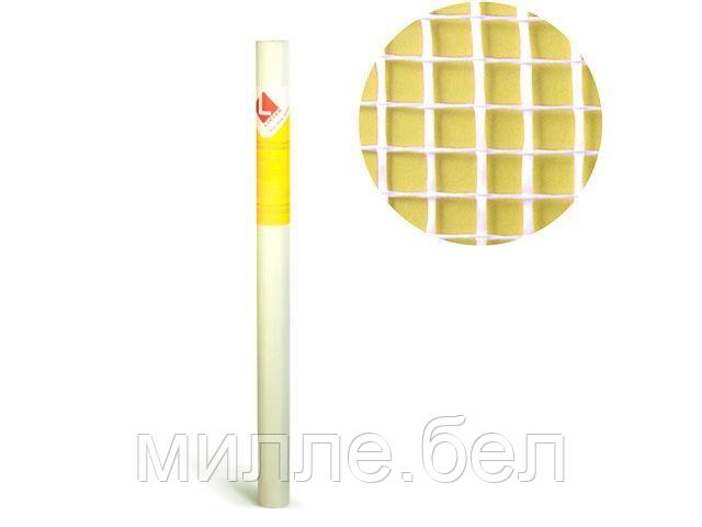 Стеклосетка малярная 2х2, 1мх10м, 55гр/м2, Mini (LIHTAR)