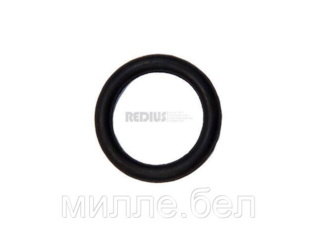 Кольцо уплотнительное для резаков (ООО "РЕДИУС 168")