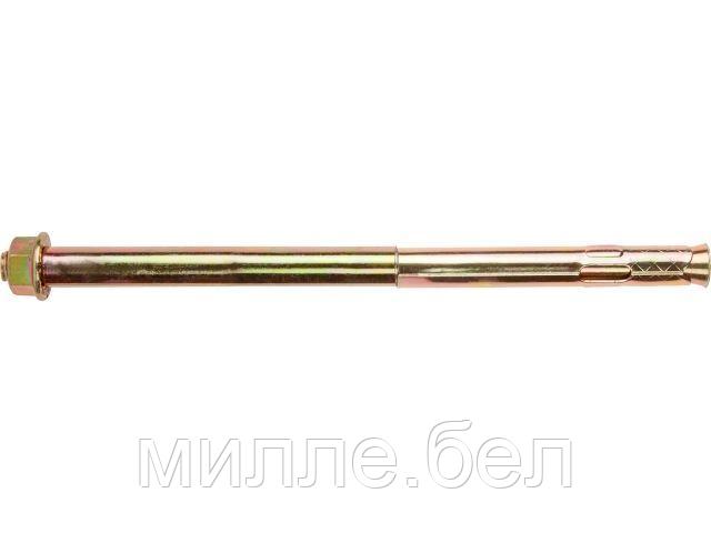 Анкер с гайкой М12х16х250 мм (15 шт в карт. уп.) STARFIX