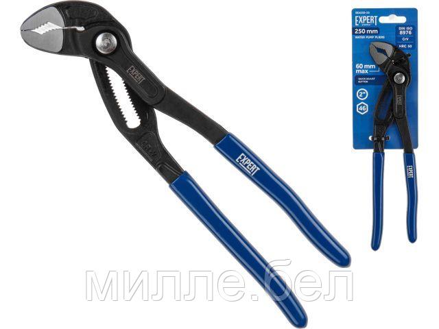 Клещи переставные 250мм EXPERT STARTUL (SE4230-25) (кнопка быстрой регулировки)