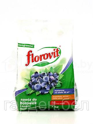 Удобрение Флоровит для голубики сухое 1кг., фото 2