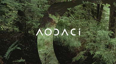 AODACI - каталог, фото 3