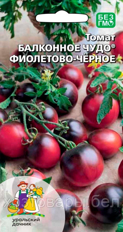 Томат Балконное чудо фиолетово-черное 12шт Дет Ранн (УД)