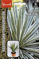 Агава Сизаль 10шт ГР