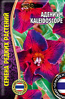 Адениум Kaleidoscope 3шт Тайланд