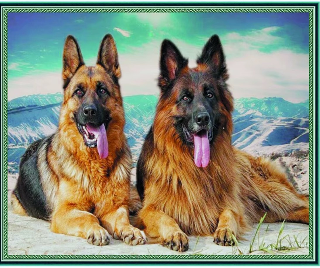 Алмазная мозаика