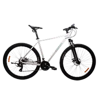 Велосипед KAYAMA Neo 29” белый