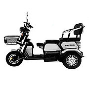 Электрический трицикл SHTENLI Model 30 SLA 12Ач48В