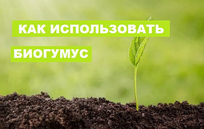 Как использовать биогумус