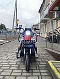 Трицикл Terax Svityaz, фото 4