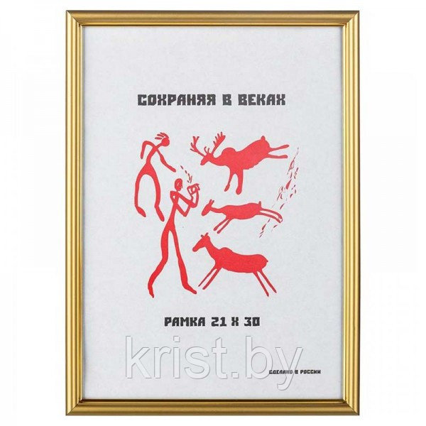 Рамка пластиковая 590, 21*30см, золотая
