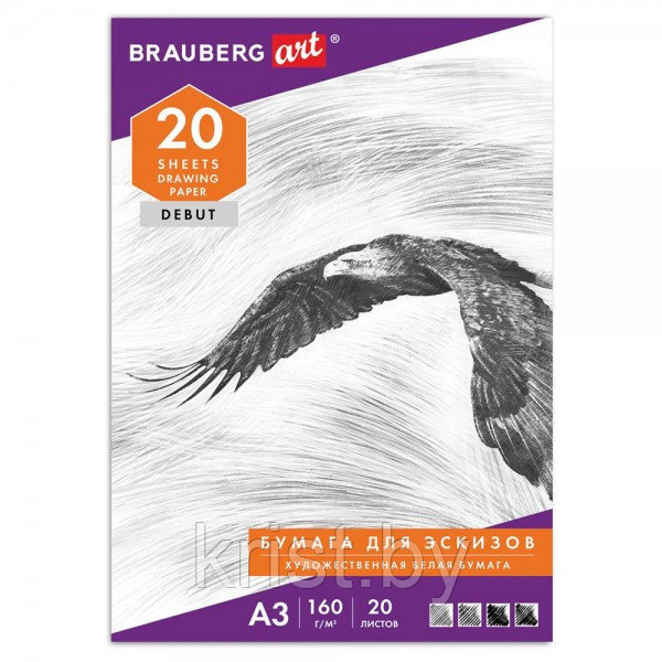 Папка для рисования Brauberg "Орел", А3, 160г/м2, 20л
