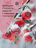 Краска для садовых деревьев 7 кг, фото 2