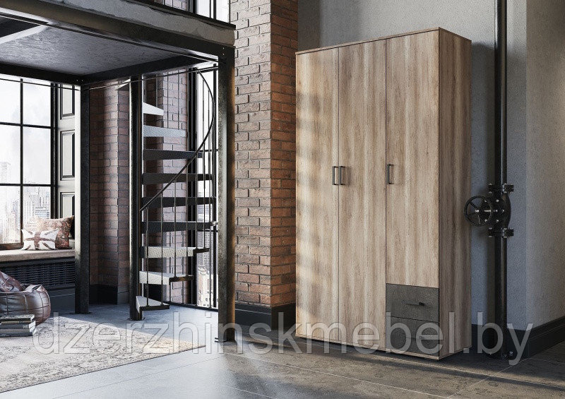 Шкаф распашной Нельсон-1 Дуб каньон/Железный камень