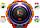 Пылесос Dyson V12 Detect Slim Absolute 448884-01, фото 6