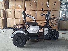 Электрический трицикл SHTENLI Model 30 SLA 12Ач48В (аккумулятор 4шт 12Ач12В)