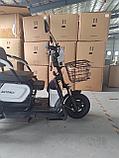 Электрический трицикл SHTENLI Model 30 SLA 12Ач48В (аккумулятор 4шт 12Ач12В), фото 5