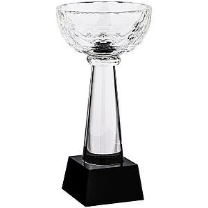 Кубок Cupture S