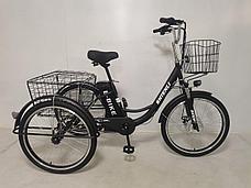 Трехколесный электровелосипед Shtenli Trike 31 36V10.4A, фото 2