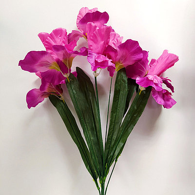 Букет Ирис крупный 7 голов 77 см, розовый