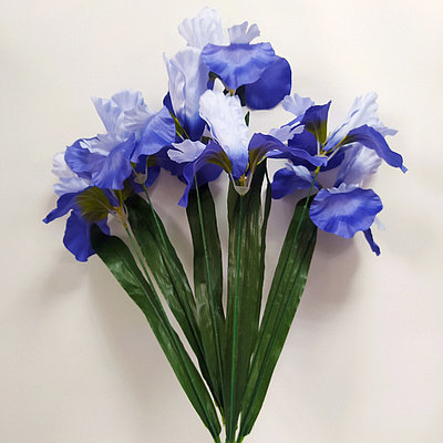 Букет Ирис крупный 7 голов 77 см, синий