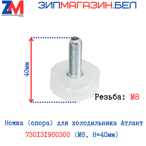 Ножка холодильника Атлант 730131900300 (М8, H=40мм)