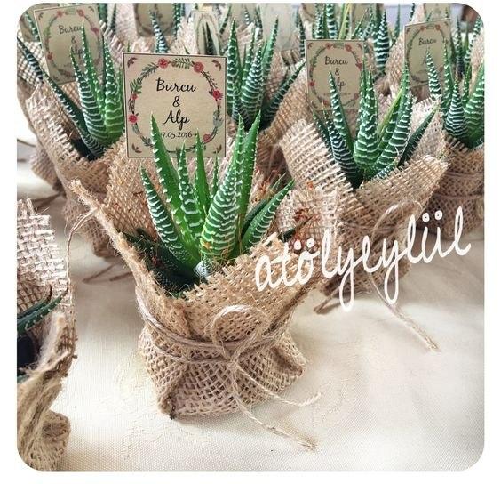 Мини сувениры для гостей из живых растений