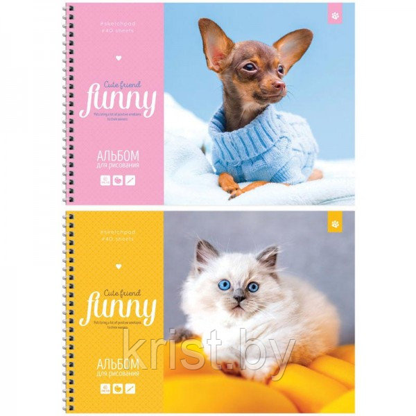 Альбом для рисования ArtSpace "Питомцы. Funny pets", А4, 40л, эконом