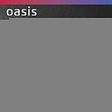 Водонагреватель накопит. Oasis PA-50 (2кВт, 50л, медный ТЭН, верт., магниевый анод, УЗО,, фото 3