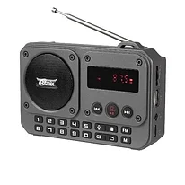Радиоприёмник Ritmix RPR-010, 5Вт, FM, Bluetooth, USB, MicroSD, выход на наушники, диктофон, аккумулятор