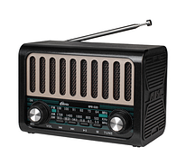 Радиоприёмник Ritmix RPR-020, 5Вт, FM/AM/SW, Bluetooth, USB, MicroSD, аккумулятор 800мАч, кабель Type-C - USB