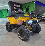 Квадроцикл Motoland 200 WILD TRACK X