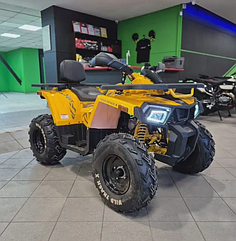 Квадроцикл Motoland 200 WILD TRACK X