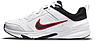 Кроссовки мужские Nike Defy All Day белый DJ1196-101, фото 2
