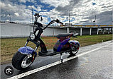 Электроскутер iking m6 pto, фото 4