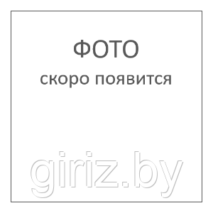 Гидроцилиндр рабочих органов комбайнов и сеялок ГЦ40*20*160.11 (ВНС 40.20.160)