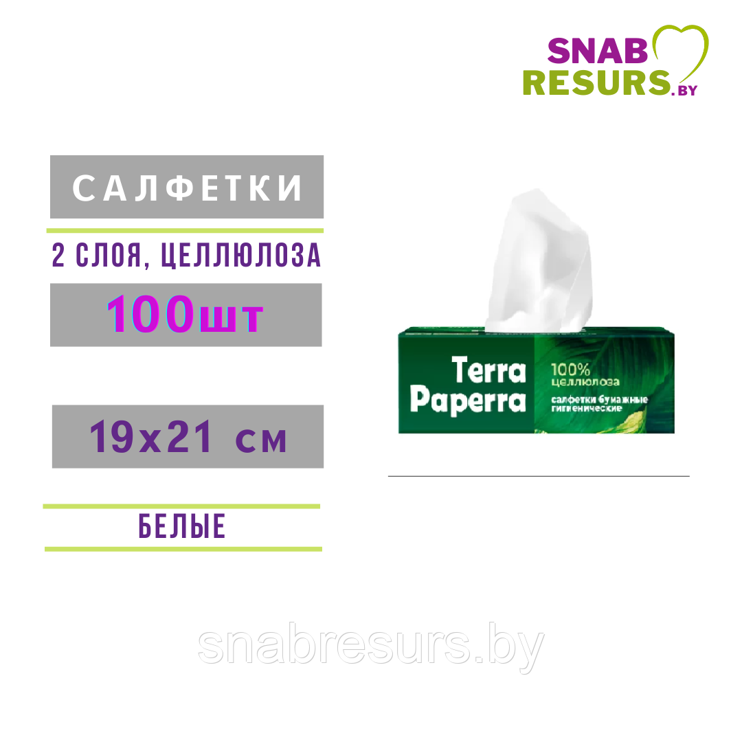 Салфетки бумажные гигиенические TERRA PAPERA, 100шт
