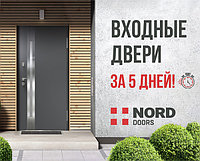 Входные двери за 5 дней!